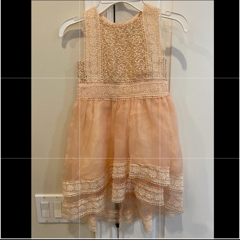 Blush dress- Size 4T- Trish Scully brand